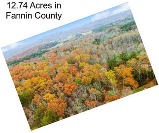 12.74 Acres in Fannin County