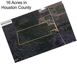 16 Acres in Houston County