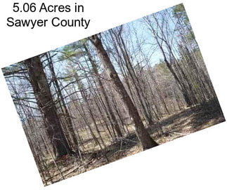 5.06 Acres in Sawyer County