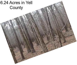 6.24 Acres in Yell County