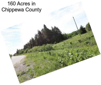 160 Acres in Chippewa County