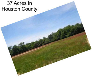 37 Acres in Houston County