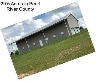 29.5 Acres in Pearl River County