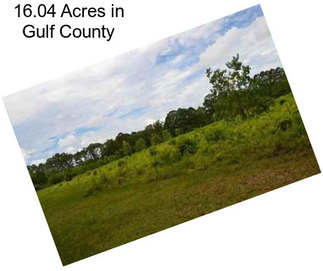 16.04 Acres in Gulf County