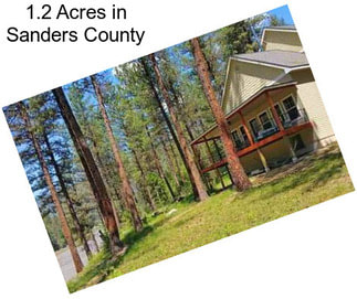 1.2 Acres in Sanders County