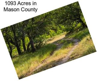 1093 Acres in Mason County