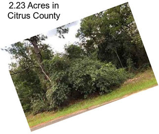 2.23 Acres in Citrus County