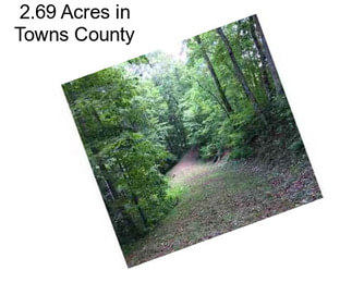 2.69 Acres in Towns County