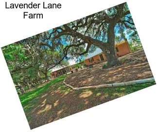 Lavender Lane Farm