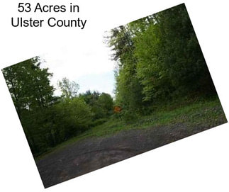 53 Acres in Ulster County