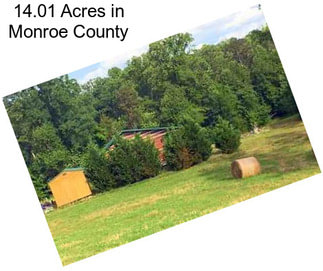 14.01 Acres in Monroe County