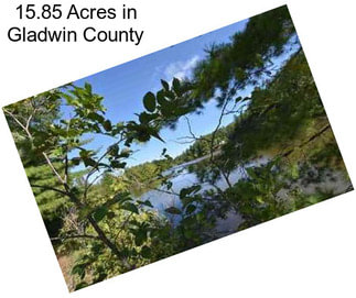 15.85 Acres in Gladwin County