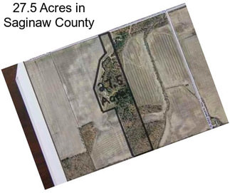 27.5 Acres in Saginaw County