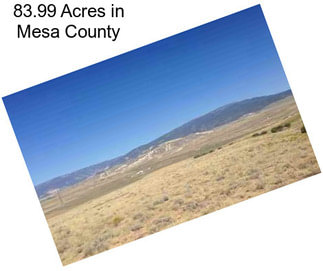 83.99 Acres in Mesa County