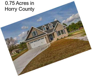 0.75 Acres in Horry County