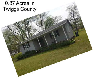 0.87 Acres in Twiggs County