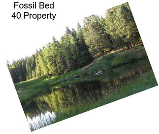 Fossil Bed 40 Property