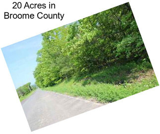 20 Acres in Broome County