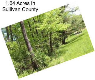 1.64 Acres in Sullivan County