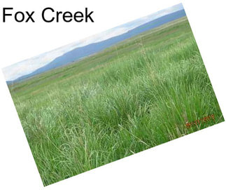 Fox Creek