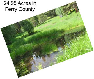 24.95 Acres in Ferry County