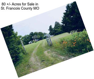 80 +/- Acres for Sale in St. Francois County MO