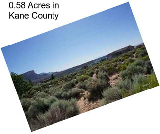 0.58 Acres in Kane County