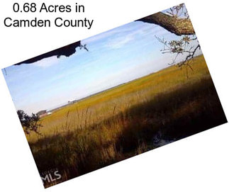 0.68 Acres in Camden County