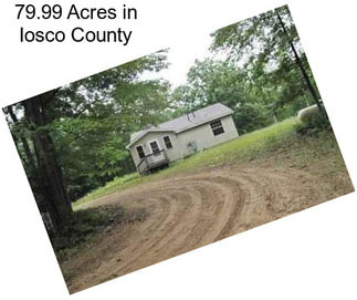 79.99 Acres in Iosco County