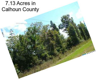 7.13 Acres in Calhoun County