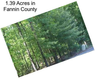 1.39 Acres in Fannin County