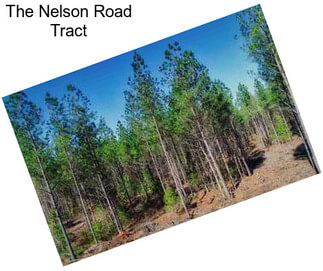 The Nelson Road Tract