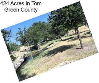 424 Acres in Tom Green County