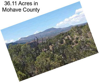 36.11 Acres in Mohave County