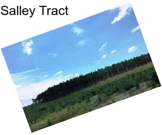 Salley Tract