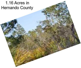 1.16 Acres in Hernando County