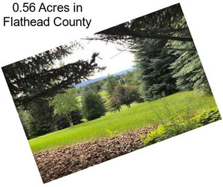 0.56 Acres in Flathead County
