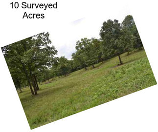 10 Surveyed Acres