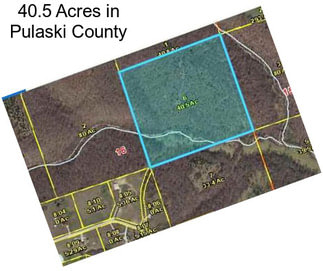 40.5 Acres in Pulaski County