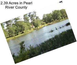 2.39 Acres in Pearl River County