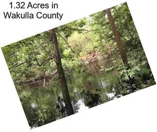 1.32 Acres in Wakulla County