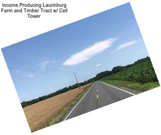 Income Producing Laurinburg Farm and Timber Tract w/ Cell Tower