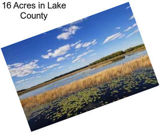16 Acres in Lake County