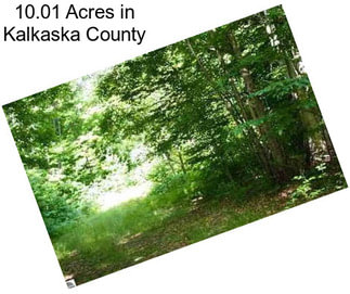 10.01 Acres in Kalkaska County