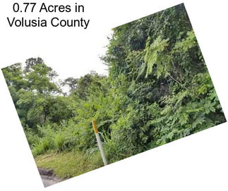 0.77 Acres in Volusia County