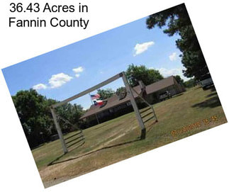36.43 Acres in Fannin County