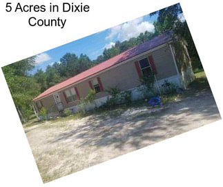 5 Acres in Dixie County