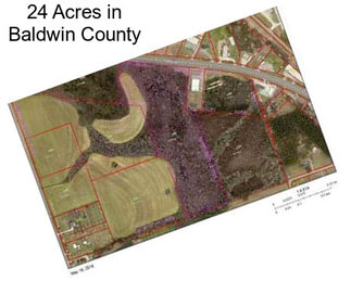 24 Acres in Baldwin County