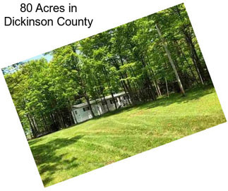 80 Acres in Dickinson County