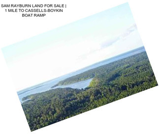 SAM RAYBURN LAND FOR SALE | 1 MILE TO CASSELLS-BOYKIN BOAT RAMP